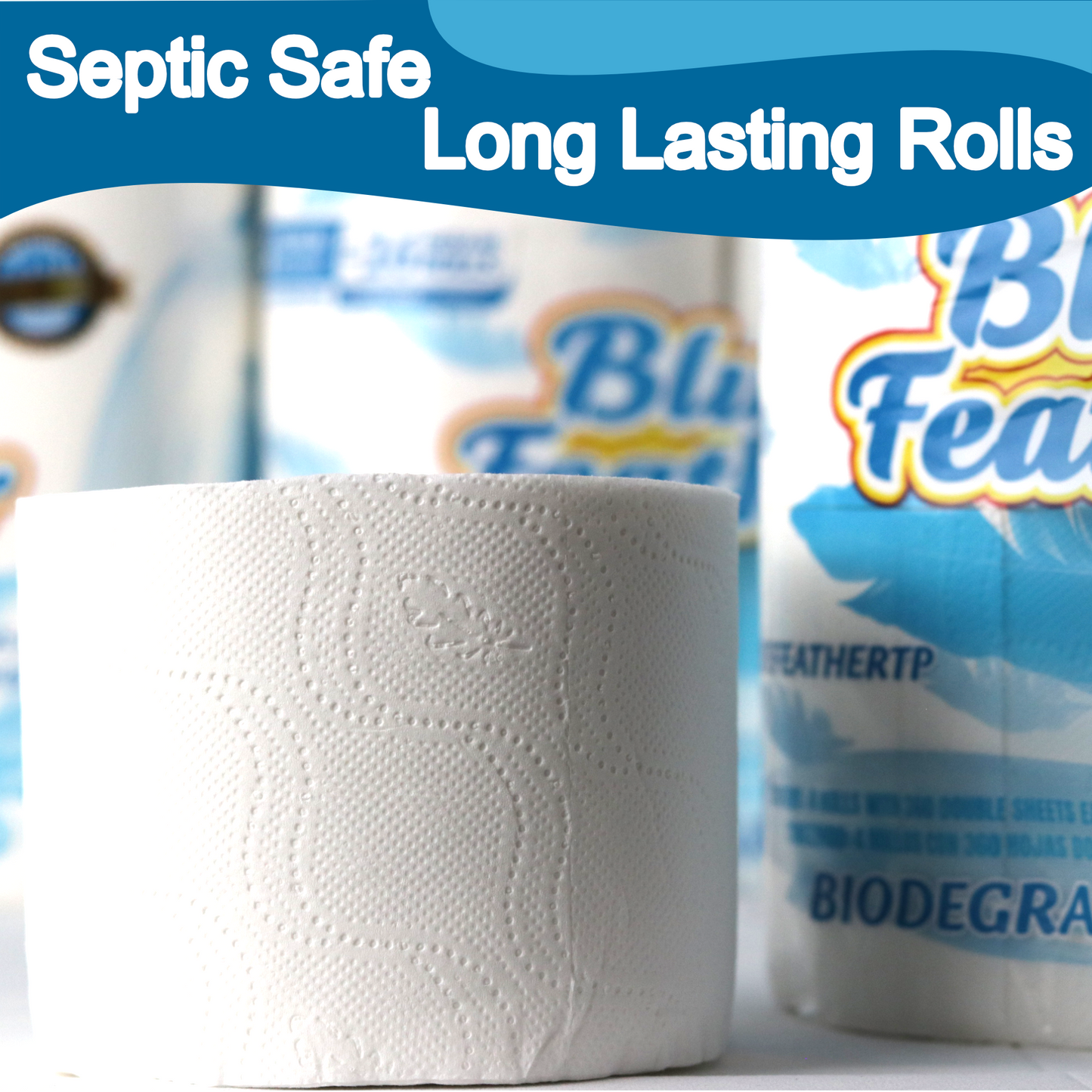 Blue Feather Hygienic Toilet Paper/ 80 Rolls, 360 Sheet's Per Roll, 2ply